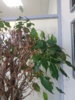 20190225_092127.jpg