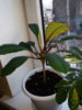 20190313_102413.jpg