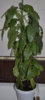 _DSC0009.JPG