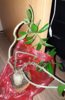 20190408_132938.jpg