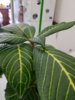 20190412_143920.jpg