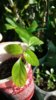 20190409_095240.jpg