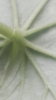 20190509_134224.jpg