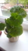 20190510_151636.jpg