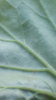 20190510_095800.jpg