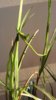 20190510_195701.jpg