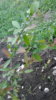 20190510_185027.jpg