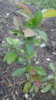 20190510_185036.jpg
