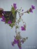 IMG_20190509_173915.jpg