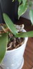 20190520_110532.jpg