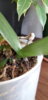 20190520_111056.jpg