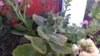IMG_20190602_181731.jpg