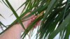 IMG_20190609_160029.jpg