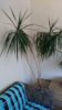 IMG_20190609_161308.jpg