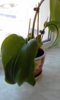 20190610_113221.jpg
