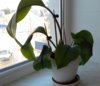 20190610_113243.jpg