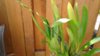 20190617_112242.jpg