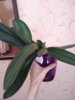 IMG_20190625_084914.jpg