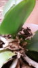 20190625_225940.jpg