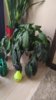 IMG-20190705-WA0001.jpeg