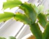 7AFEC501-85AE-4BC5-9BD9-07659AE7B451.jpeg
