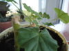 DSC08342.JPG