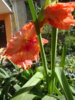 DSC03472.JPG