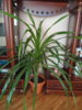 DSC08468.JPG