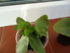 DSC08494.JPG