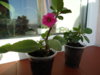 DSC08493.JPG