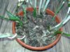 20180424_234336.jpg