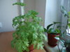 DSC08507.JPG