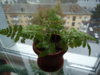 DSC08573.JPG