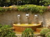 DSCN1521.JPG