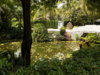 DSCN1523.JPG