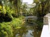DSCN1525.JPG