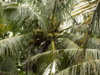 DSCN1488.JPG