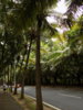 DSCN1489.JPG