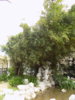 DSCN1509.JPG