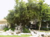DSCN1510.JPG