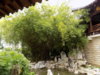 DSCN1511.JPG