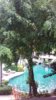 20190920_132343.jpg
