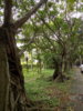 DSCN1483.JPG