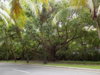 DSCN1484.JPG