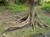DSCN1491.JPG