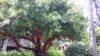 20190920_130155.jpg