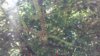 20190920_130203.jpg