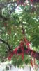 20190920_130222.jpg