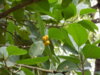 DSCN1486.JPG