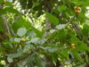 DSCN1487.JPG